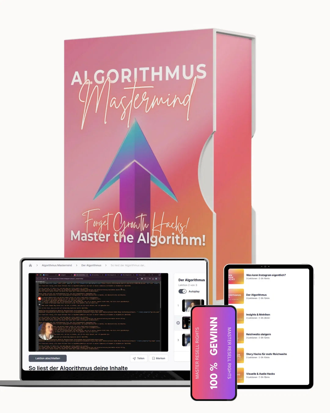 Algorithmus Mastermind - mit 100% Profit (MRR)